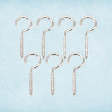 SteelGuard EyeBolt