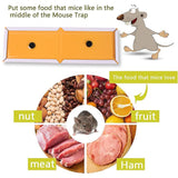 PCI Cardboard Troublegum Small Size Mouse Trap-1pc